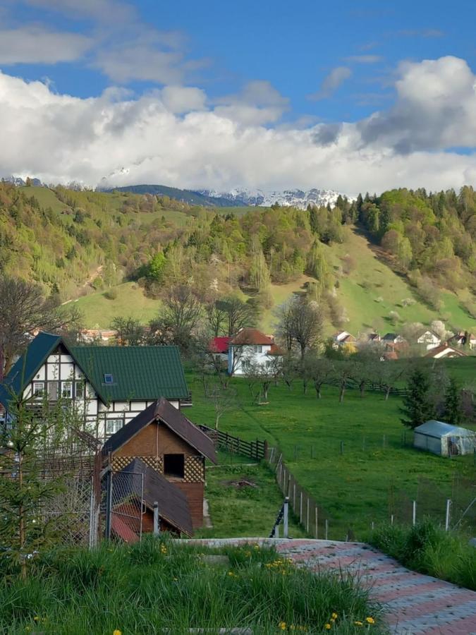 Pensiunea Brian Моечу-де-Жос Экстерьер фото